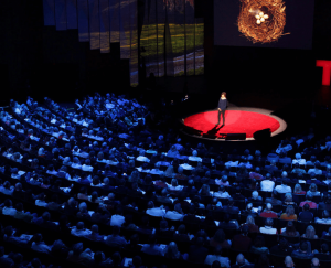 5 Ted Talks que todo mundo precisa assistir